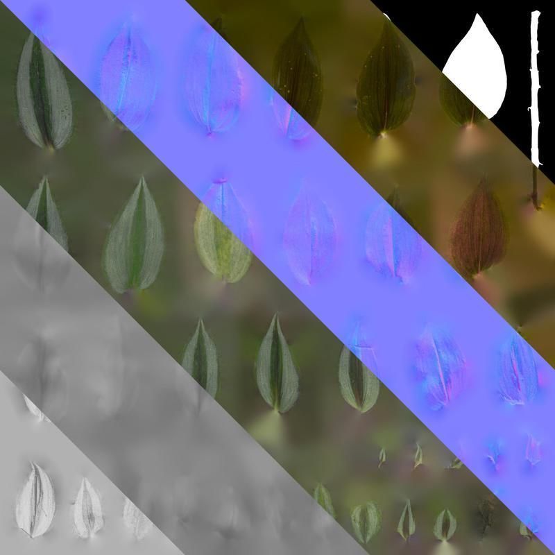 Anydrafts Tradescantia zebrina Leaf 01 F Texture_8