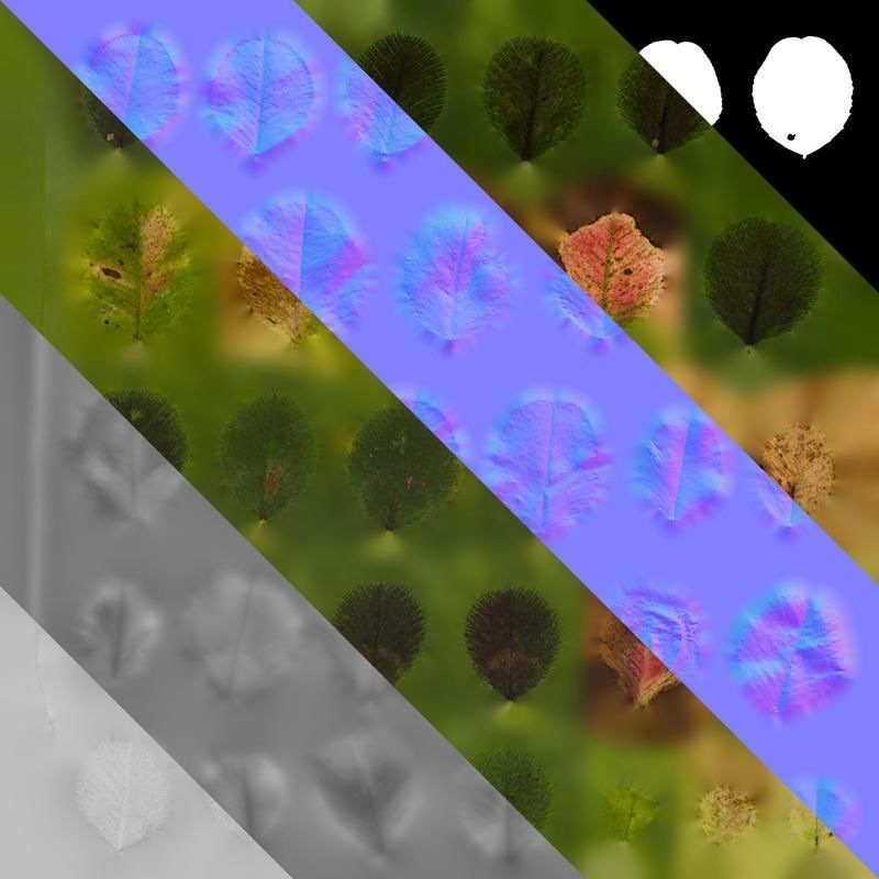 Anydrafts Trifolium repens Leaf 02 Texture_8