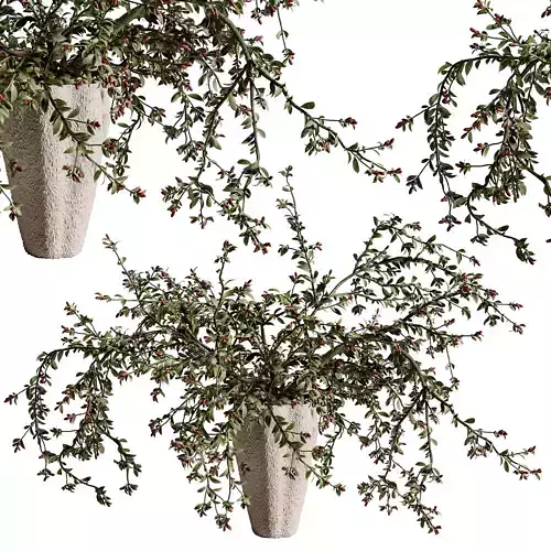 plants bouquet vase 45