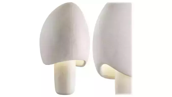 MUSHROOM LAMP