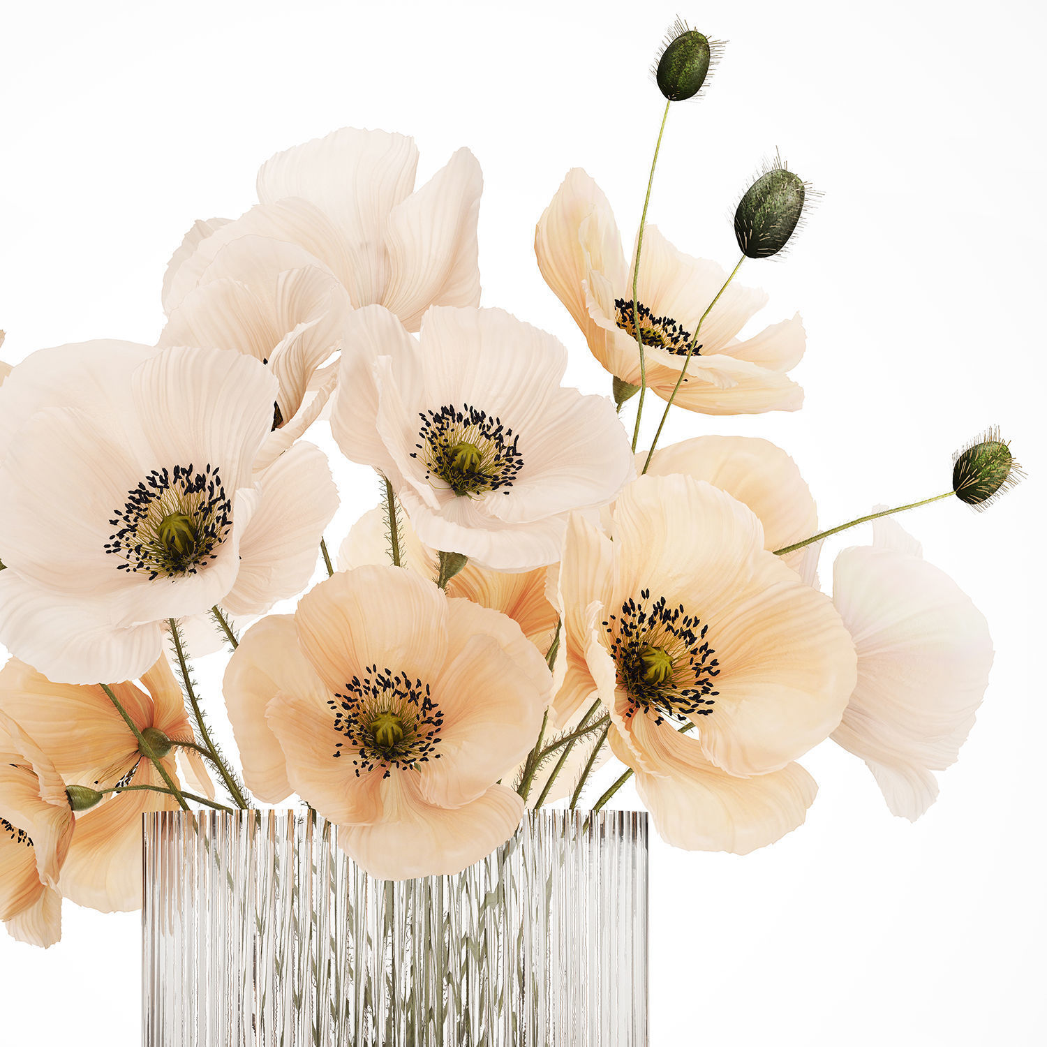 Bouquet Of White Wild Flowers Poppy In A Vase 479 3D model_11