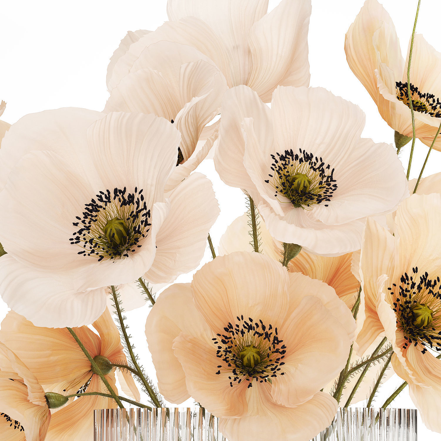 Bouquet Of White Wild Flowers Poppy In A Vase 479 3D model_12