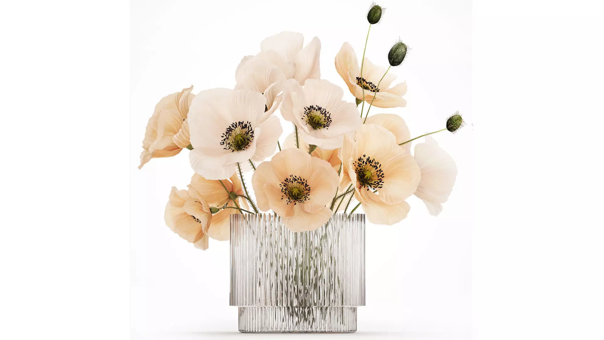 Bouquet Of White Wild Flowers Poppy In A Vase 479 3D model_0