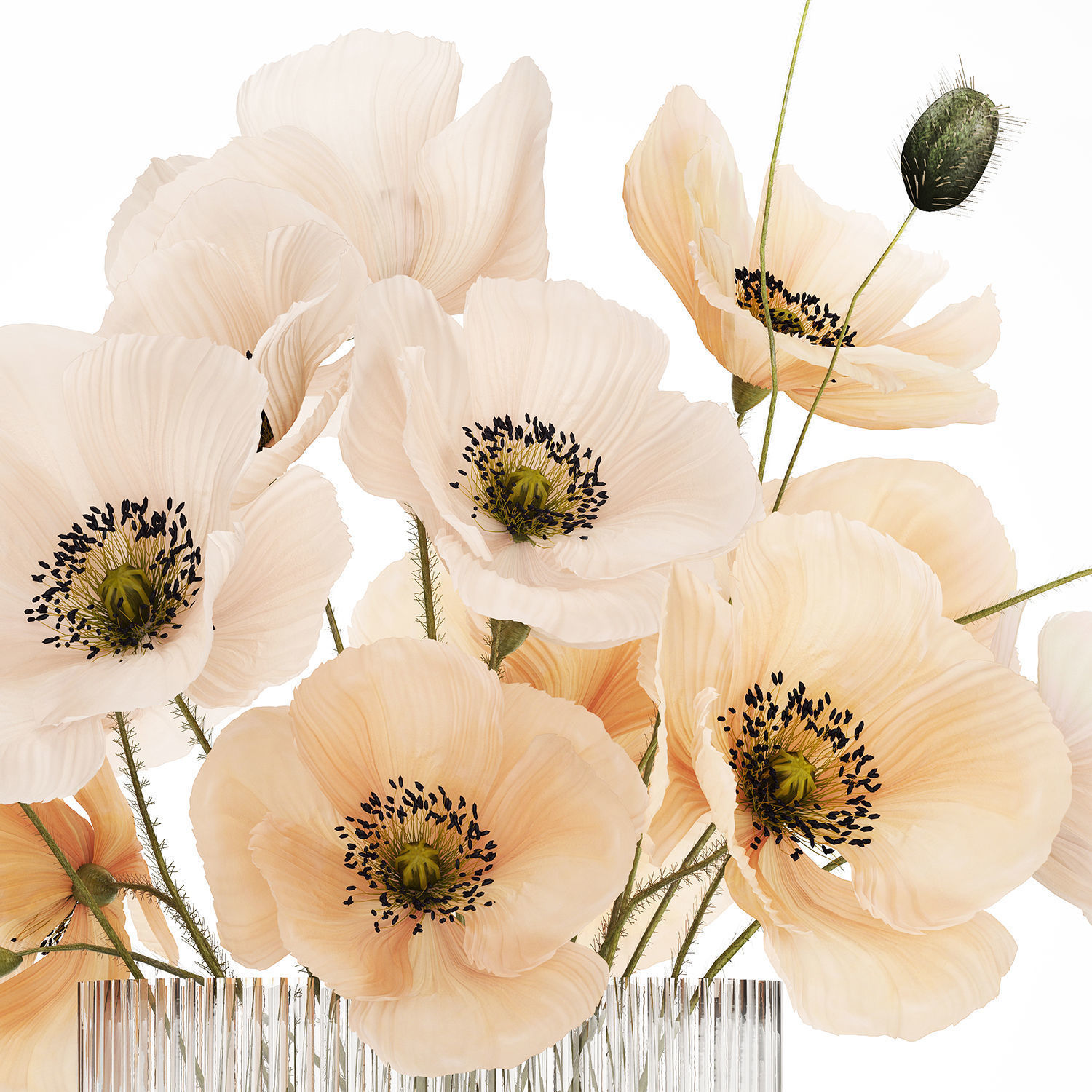 Bouquet Of White Wild Flowers Poppy In A Vase 479 3D model_9
