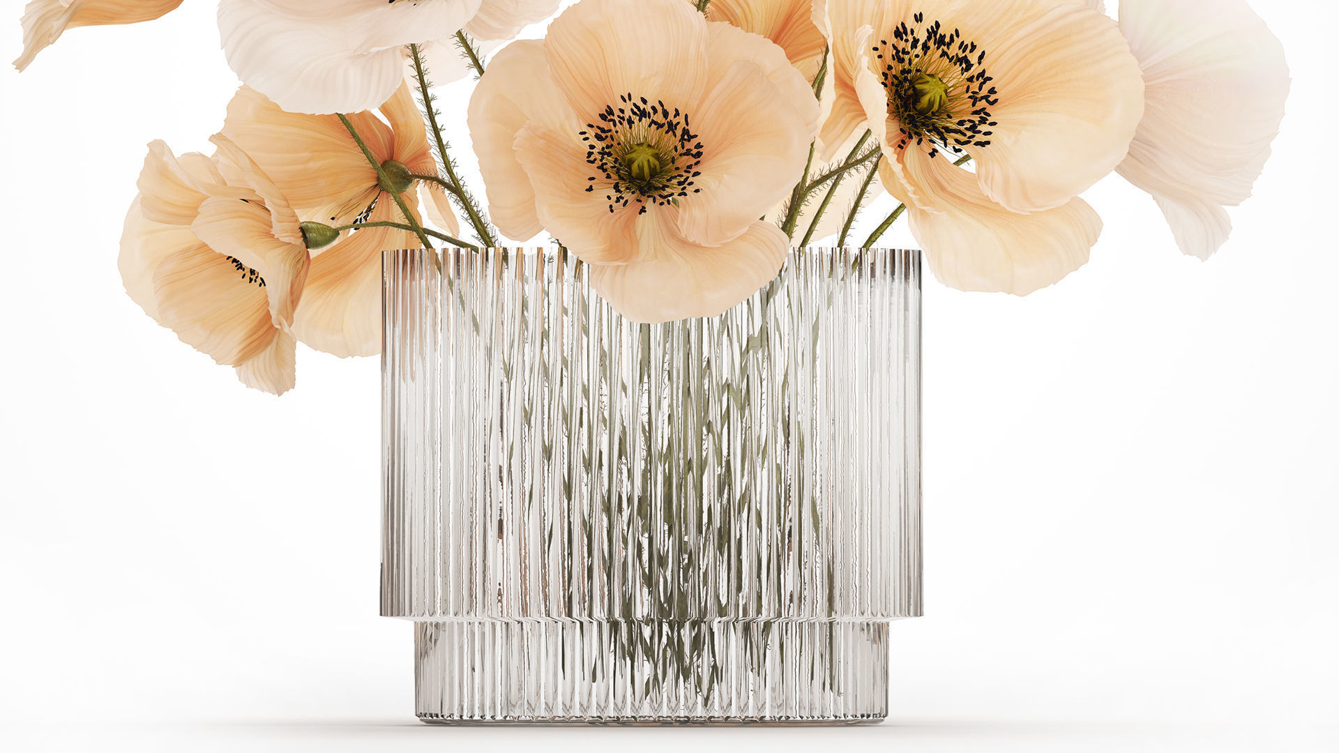 Bouquet Of White Wild Flowers Poppy In A Vase 479 3D model_2