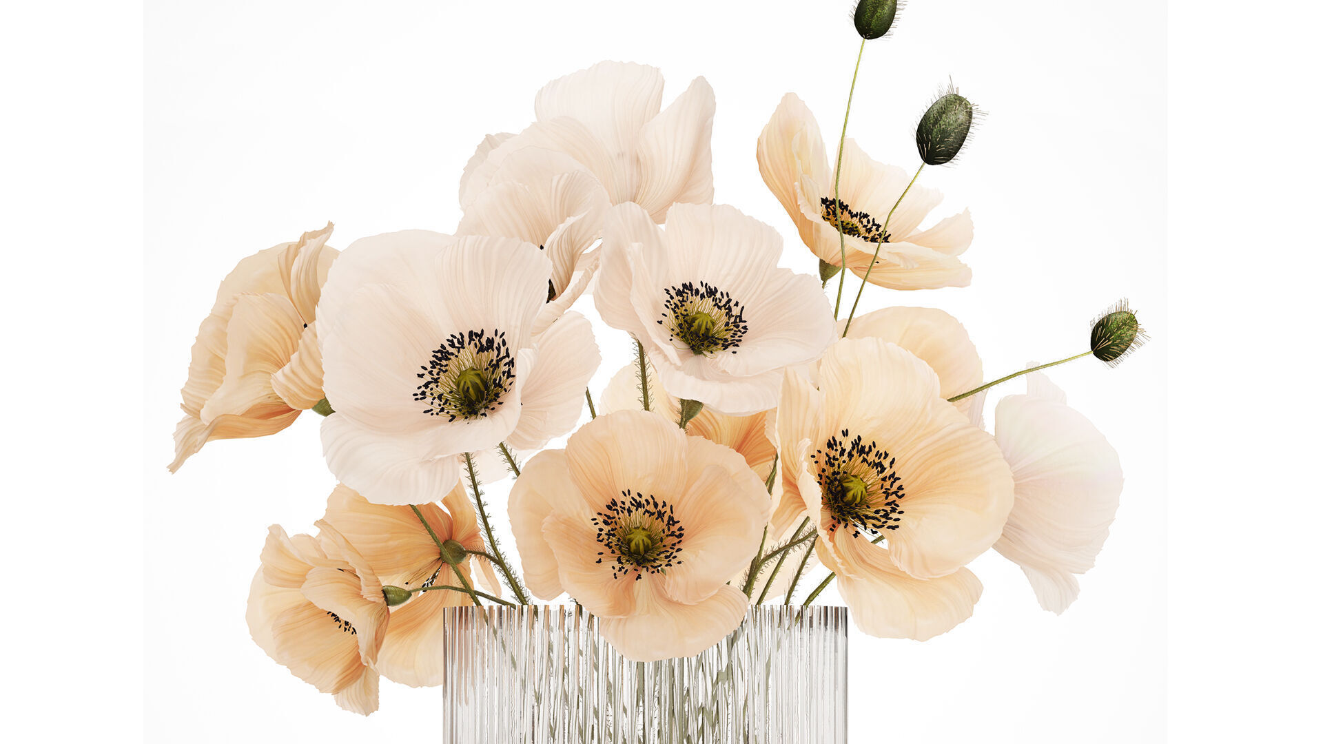 Bouquet Of White Wild Flowers Poppy In A Vase 479 3D model_1