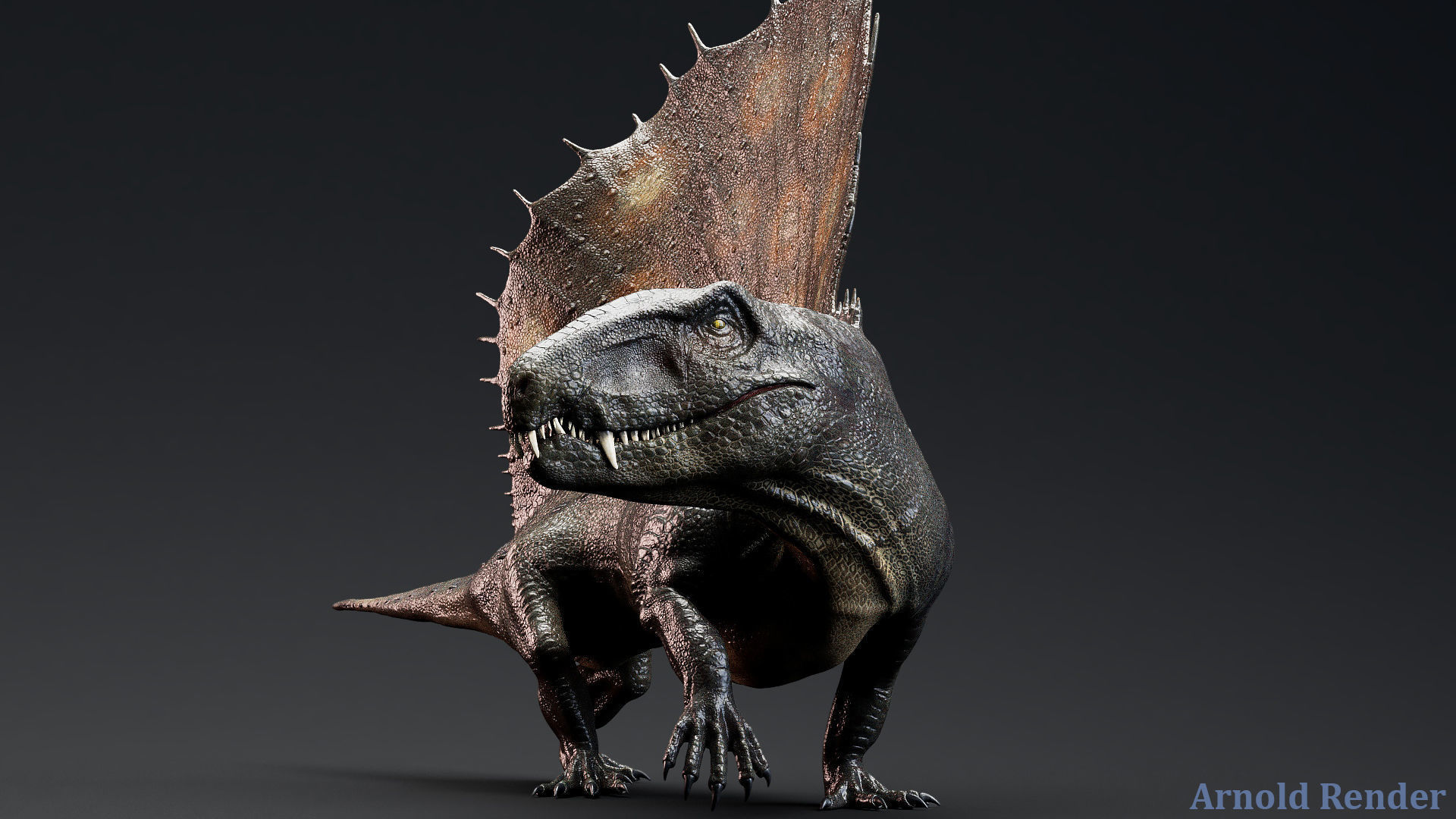 Dinosaur Dimetrodon Dinosaur - Unity Project Low-poly 3D model_2