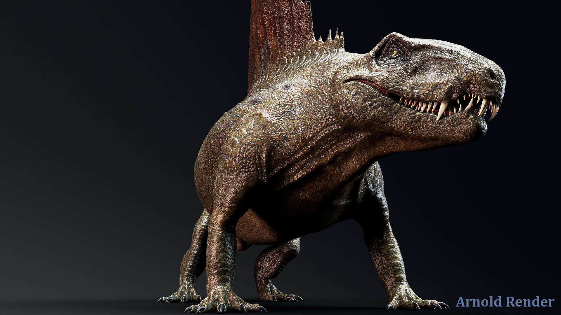 Dinosaur Dimetrodon Dinosaur - Unity Project Low-poly 3D model_4