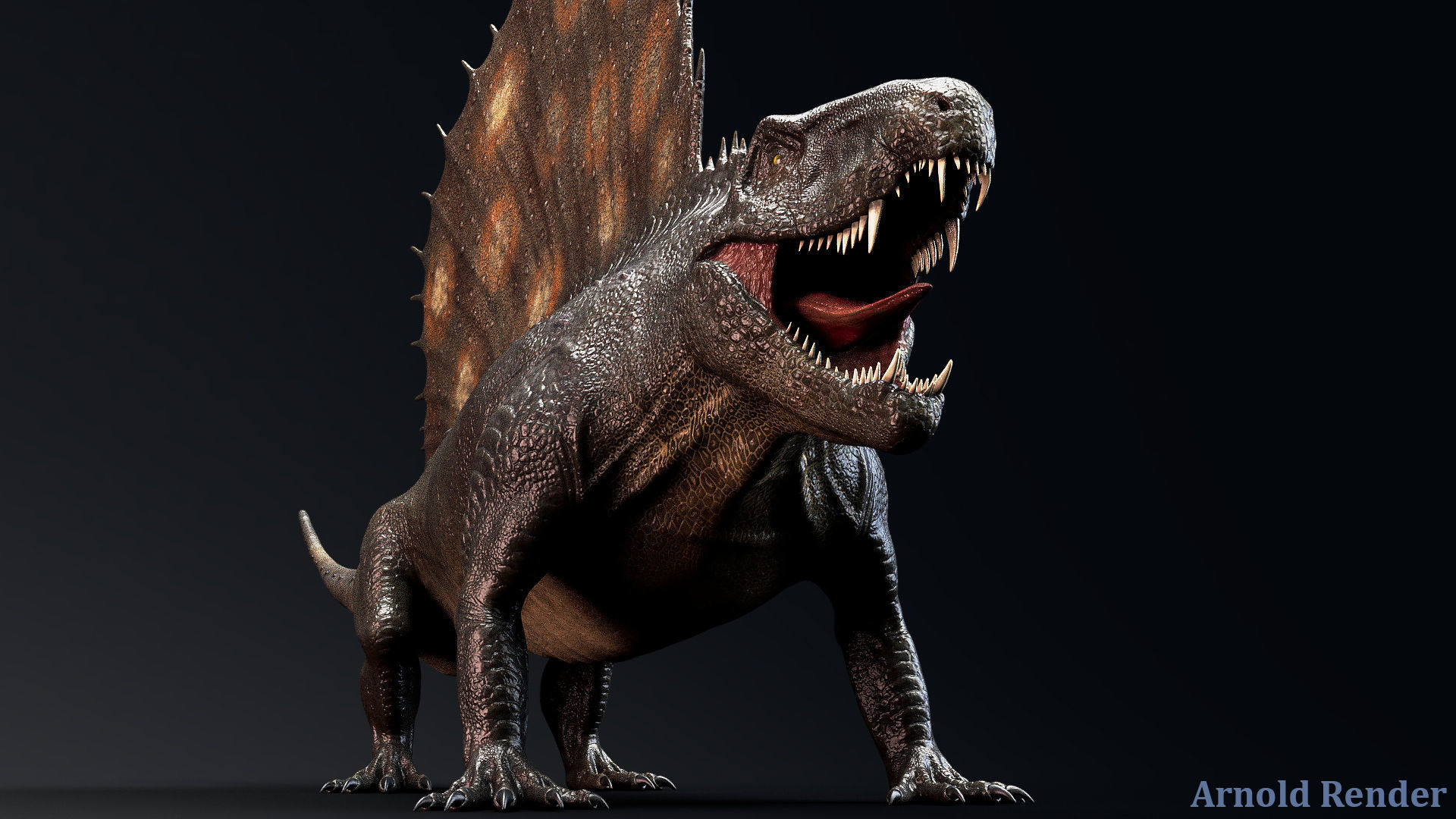 Dinosaur Dimetrodon Dinosaur - Unity Project Low-poly 3D model_3