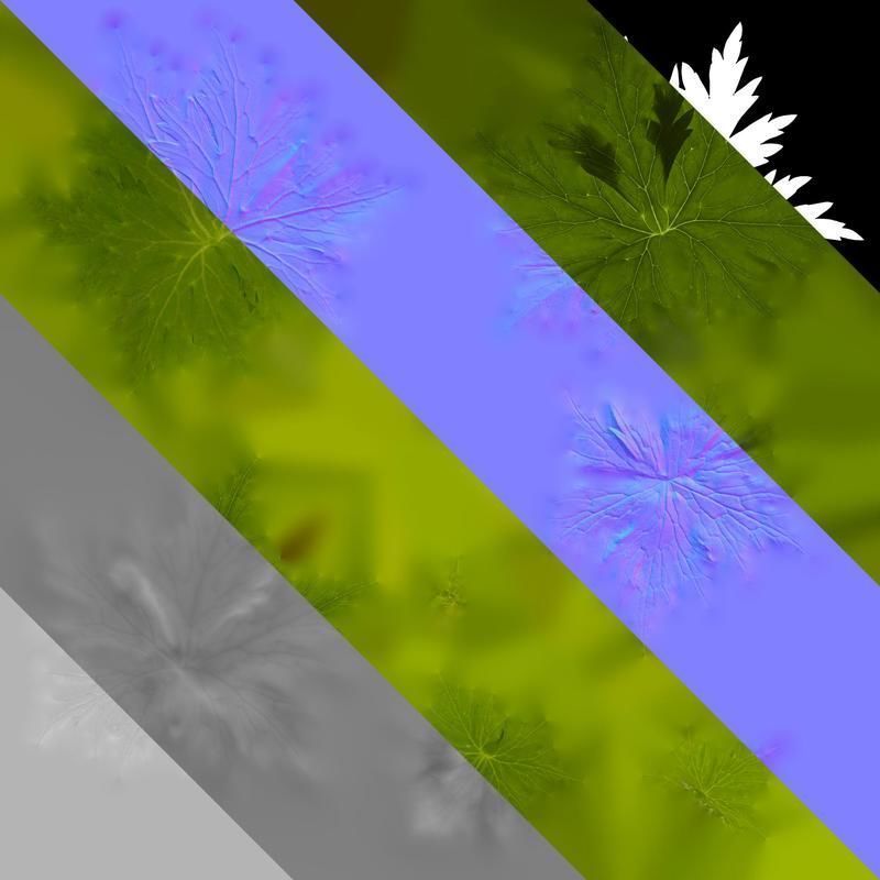 Anydrafts Aconitum sinomontanum Leaf 02 Texture_8