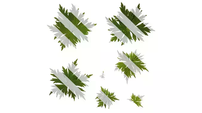 Anydrafts Aconitum sinomontanum Leaf 02