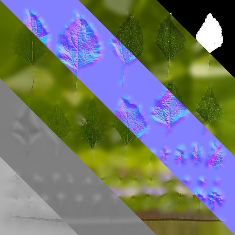 Anydrafts Ageratum conyzoides Atlas 03 Texture_8