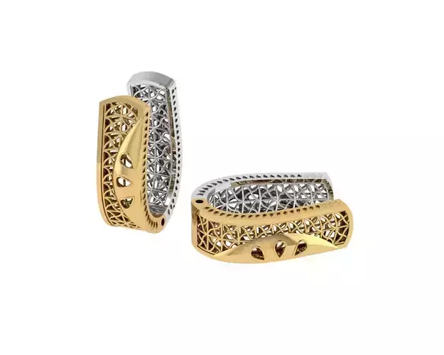 Fashion Earrings 3D print model