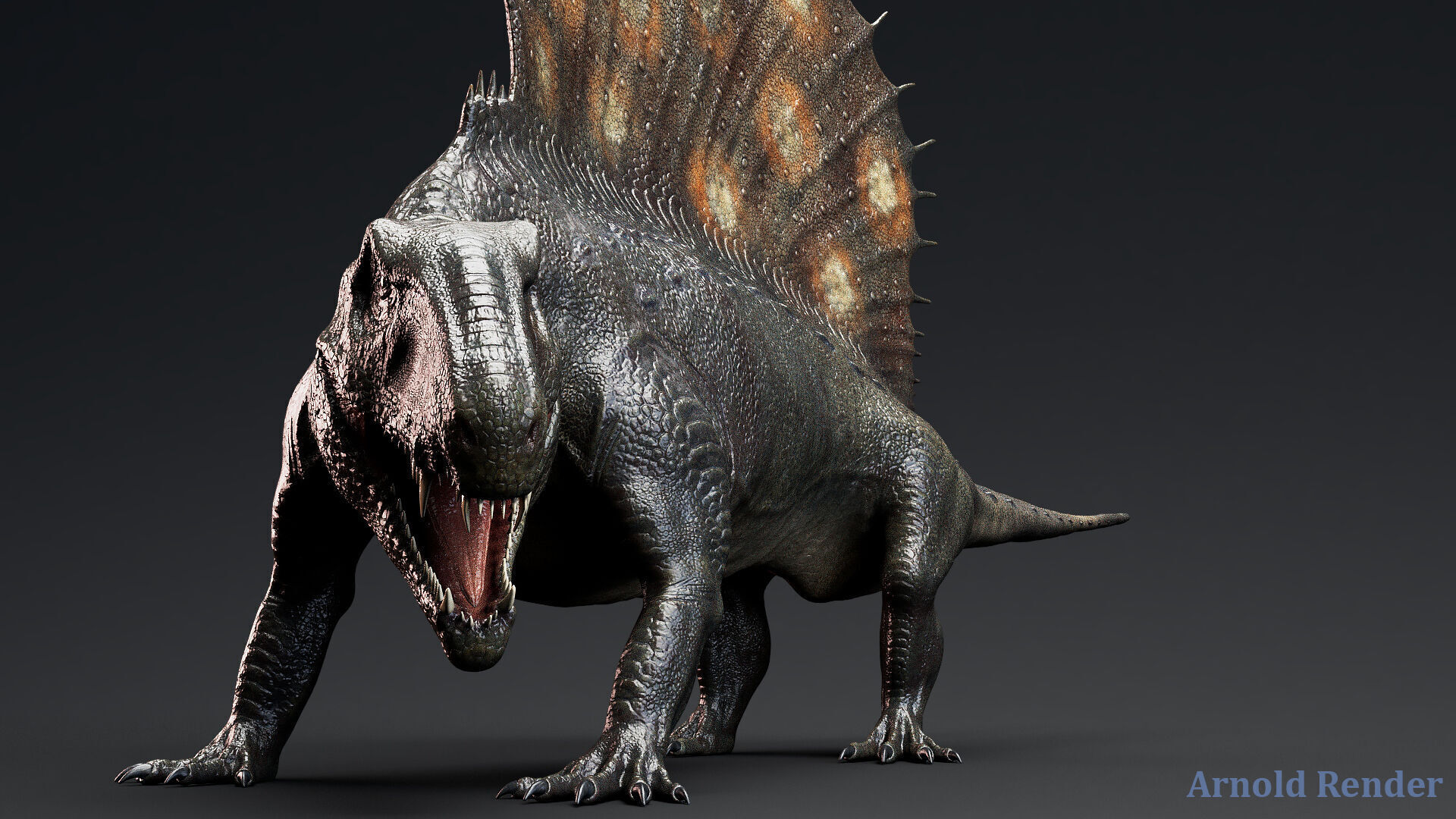 Dinosaur Dimetrodon Dinosaur Unreal Engine Project Low-poly 3D model_5