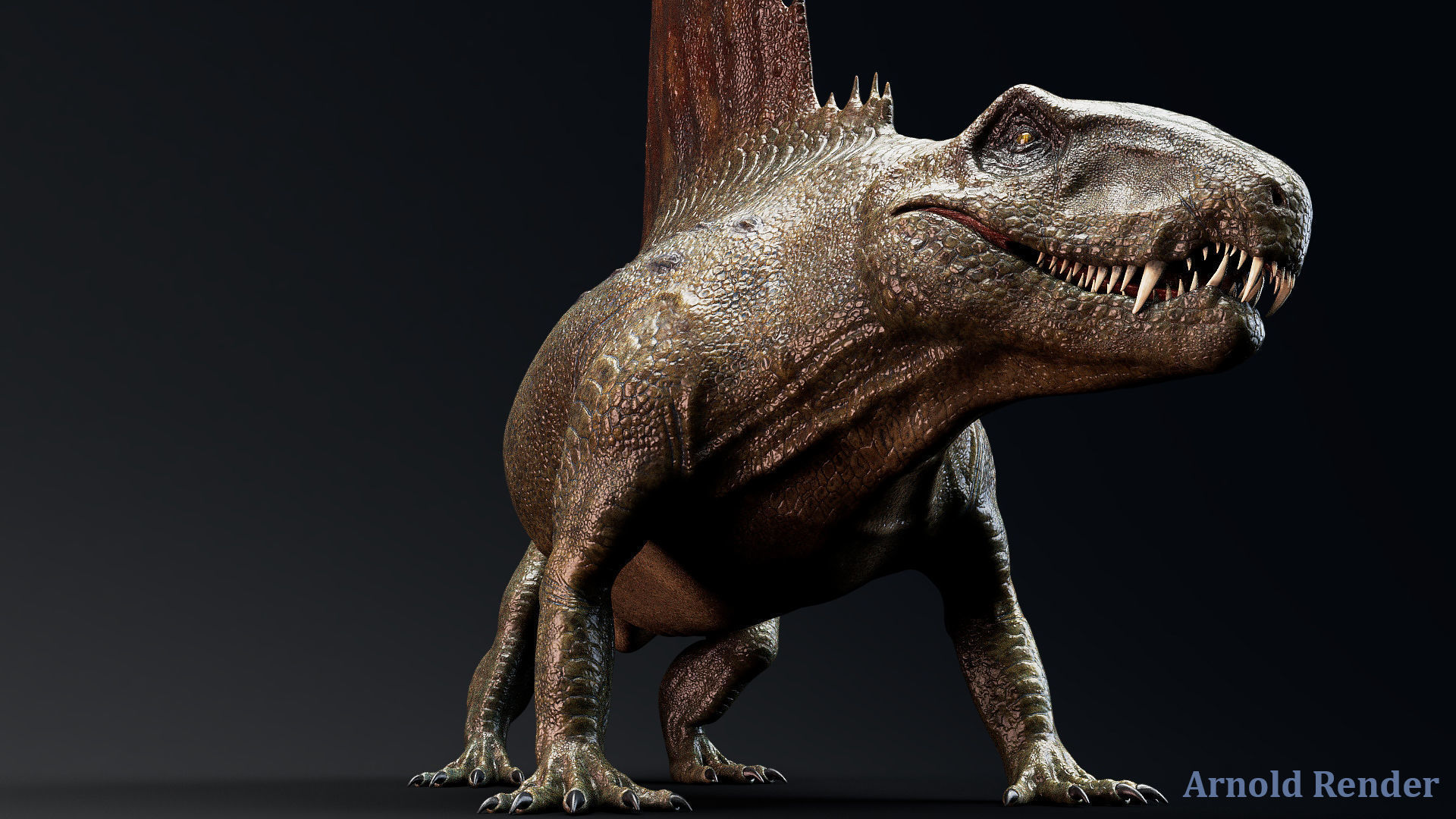 Dinosaur Dimetrodon Dinosaur Unreal Engine Project Low-poly 3D model_4