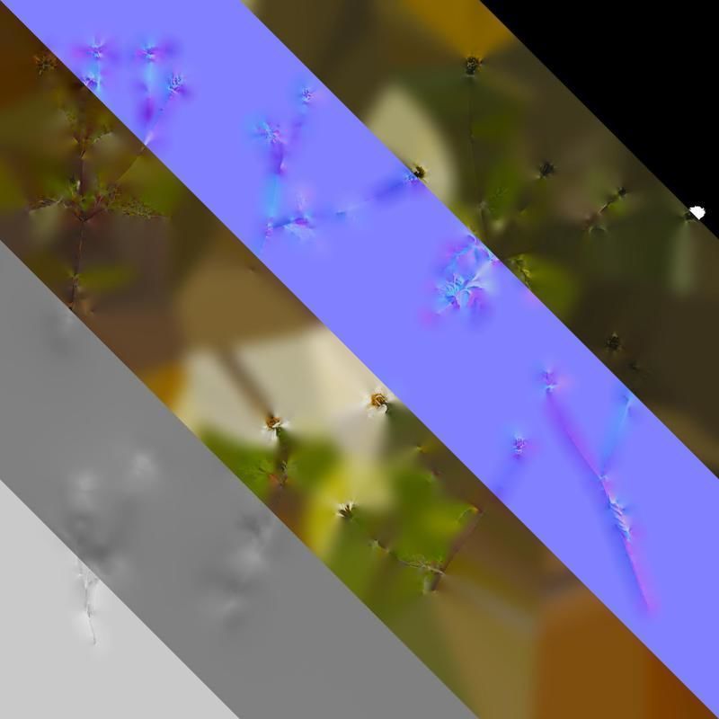 Anydrafts Bidens pilosa Atlas 01 Texture_8