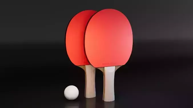 Ping Pong Paddle