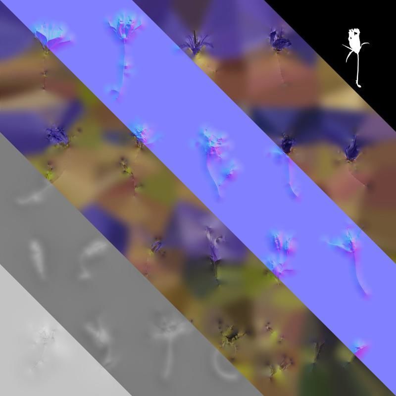 Anydrafts Campanula pallida Flower 01 Texture_8