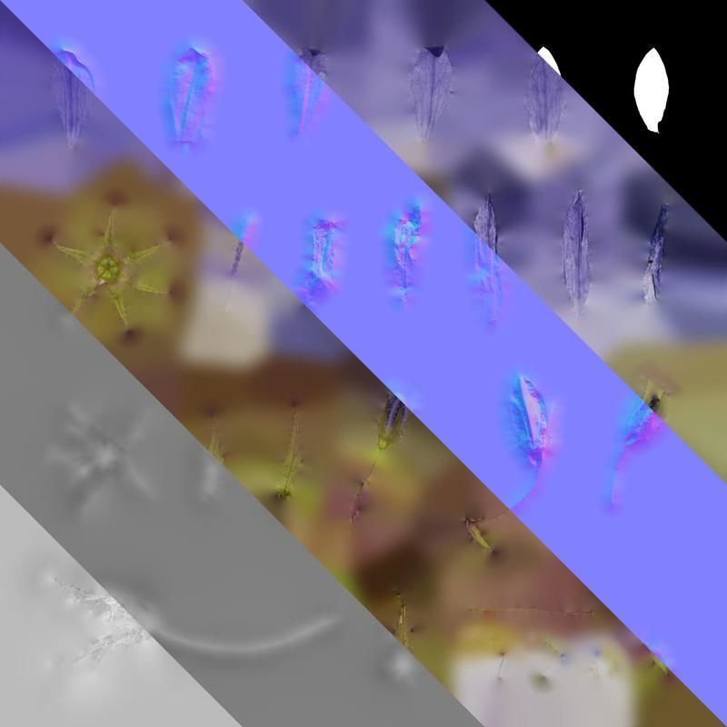 Anydrafts Campanula pallida Flower 02 Texture_8