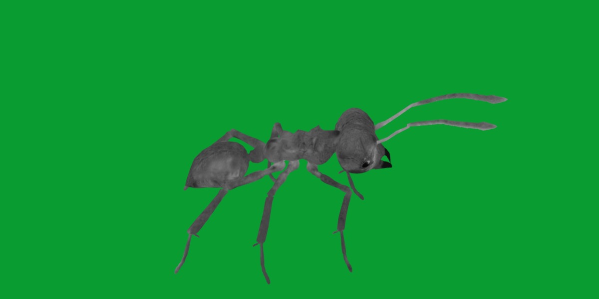 Leafcutter Ant Insect Low-poly 3D model_14