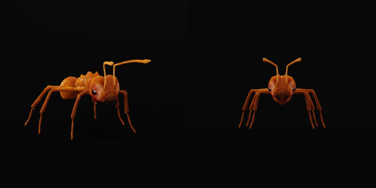 Leafcutter Ant Insect Low-poly 3D model_25