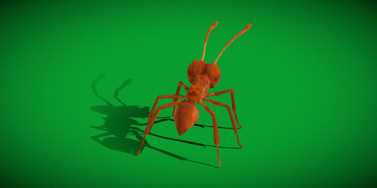 Leafcutter Ant Insect Low-poly 3D model_26