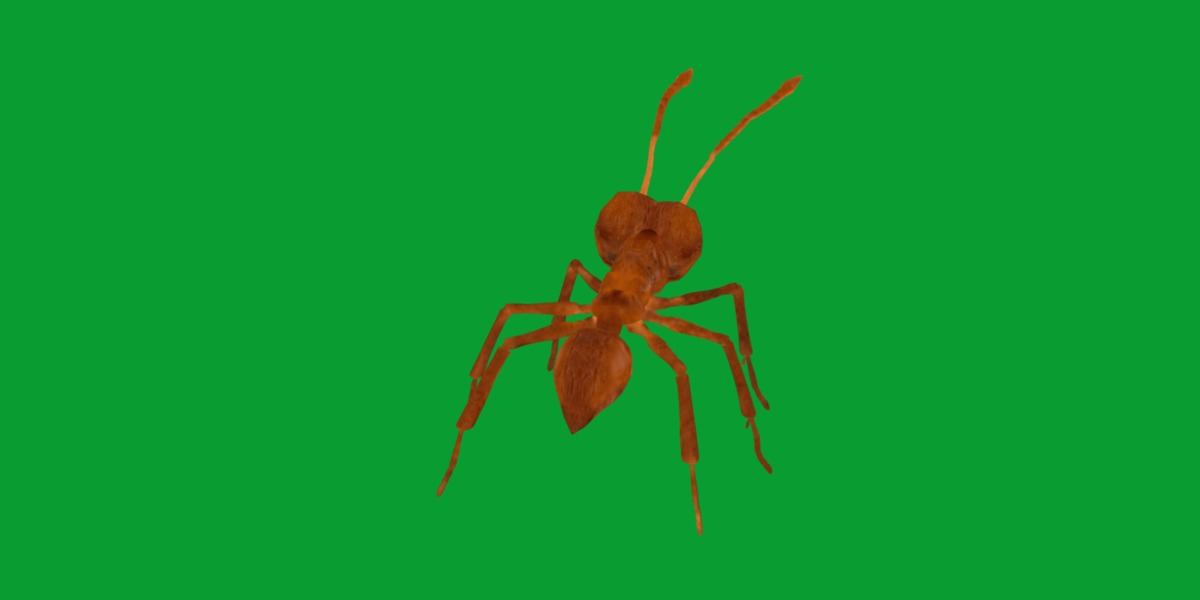 Leafcutter Ant Insect Low-poly 3D model_27