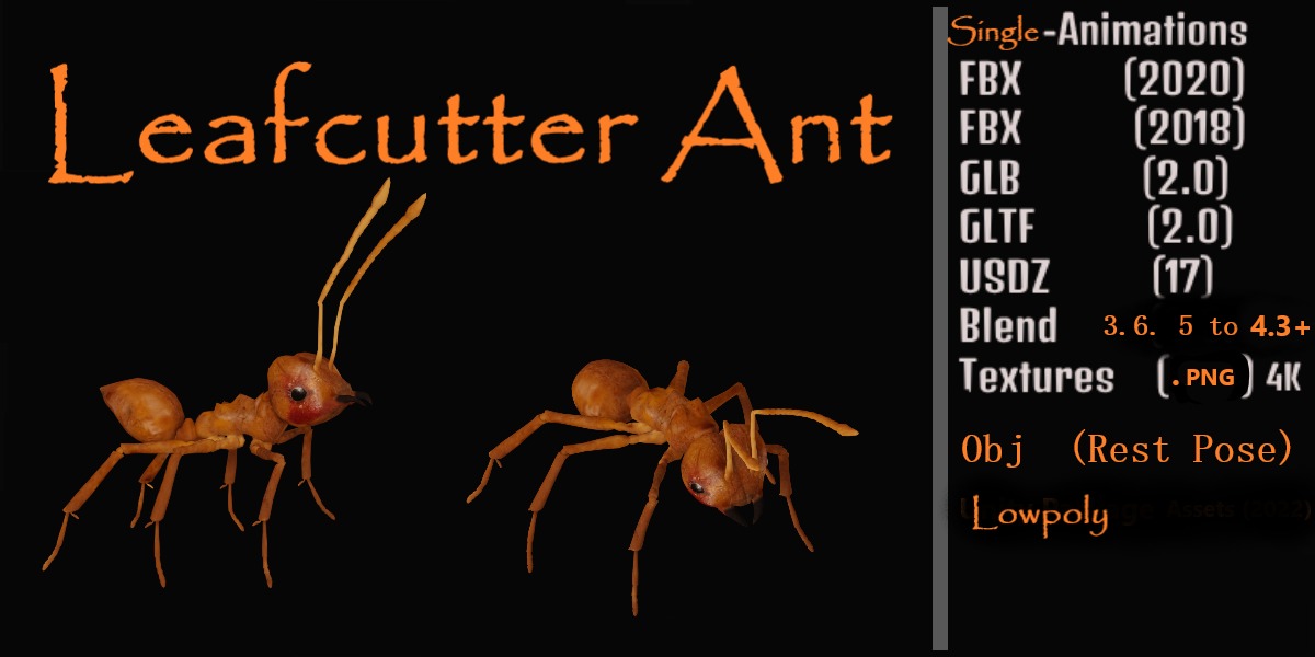 Leafcutter Ant Insect Low-poly 3D model_3
