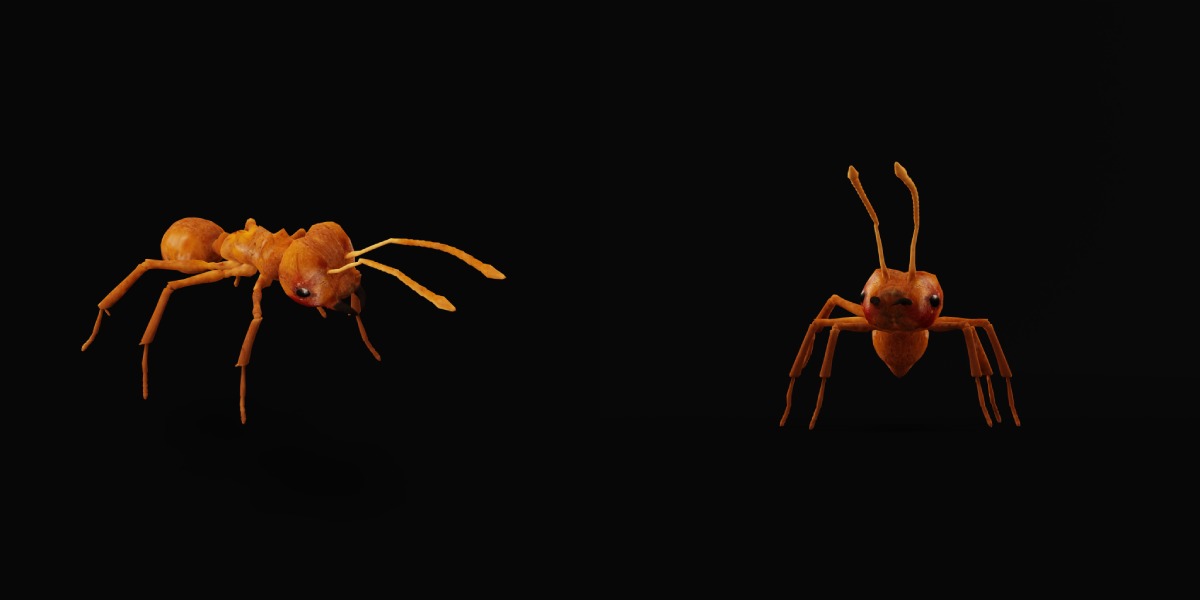 Leafcutter Ant Insect Low-poly 3D model_11