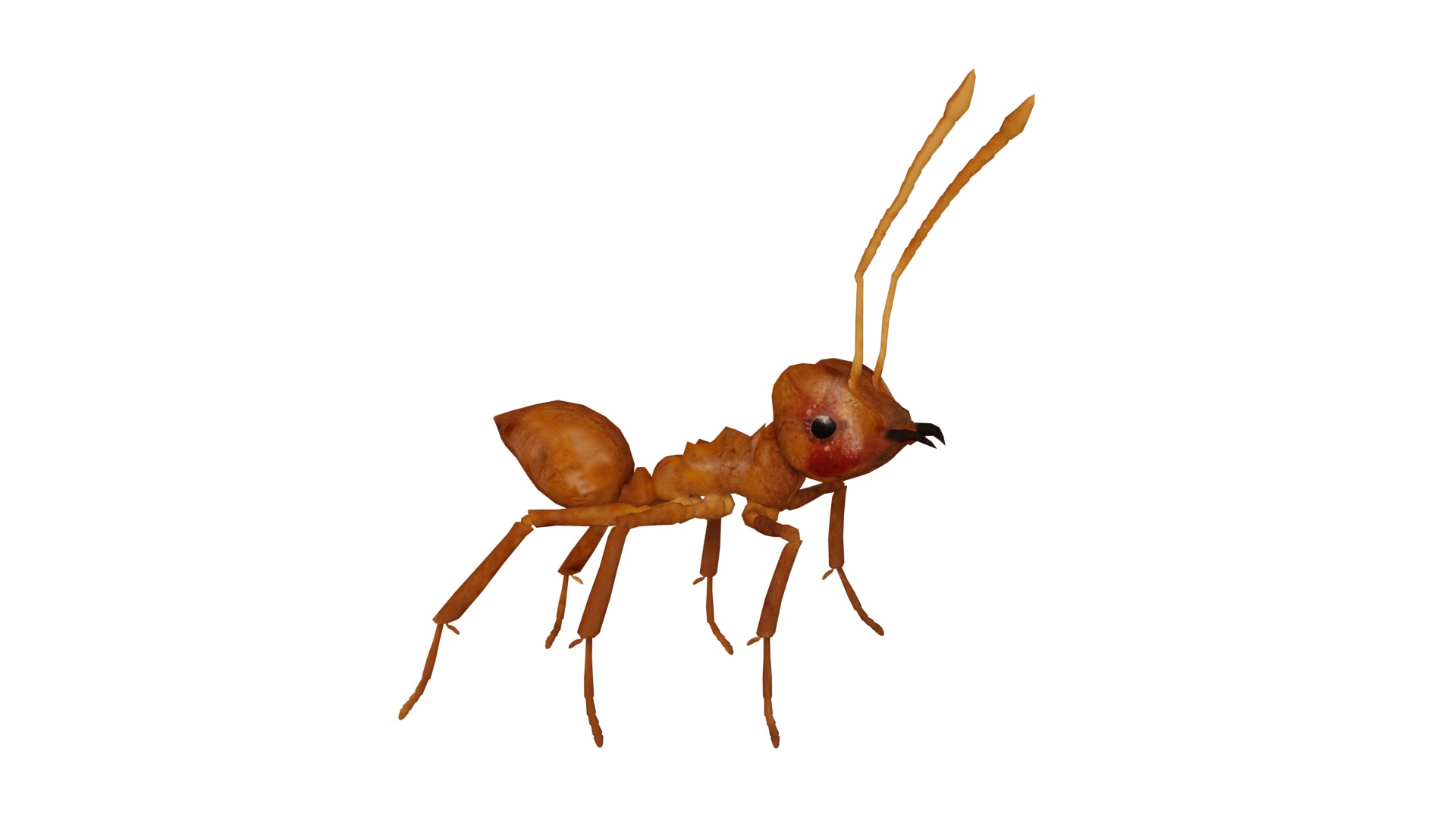 Leafcutter Ant Insect Low-poly 3D model_2