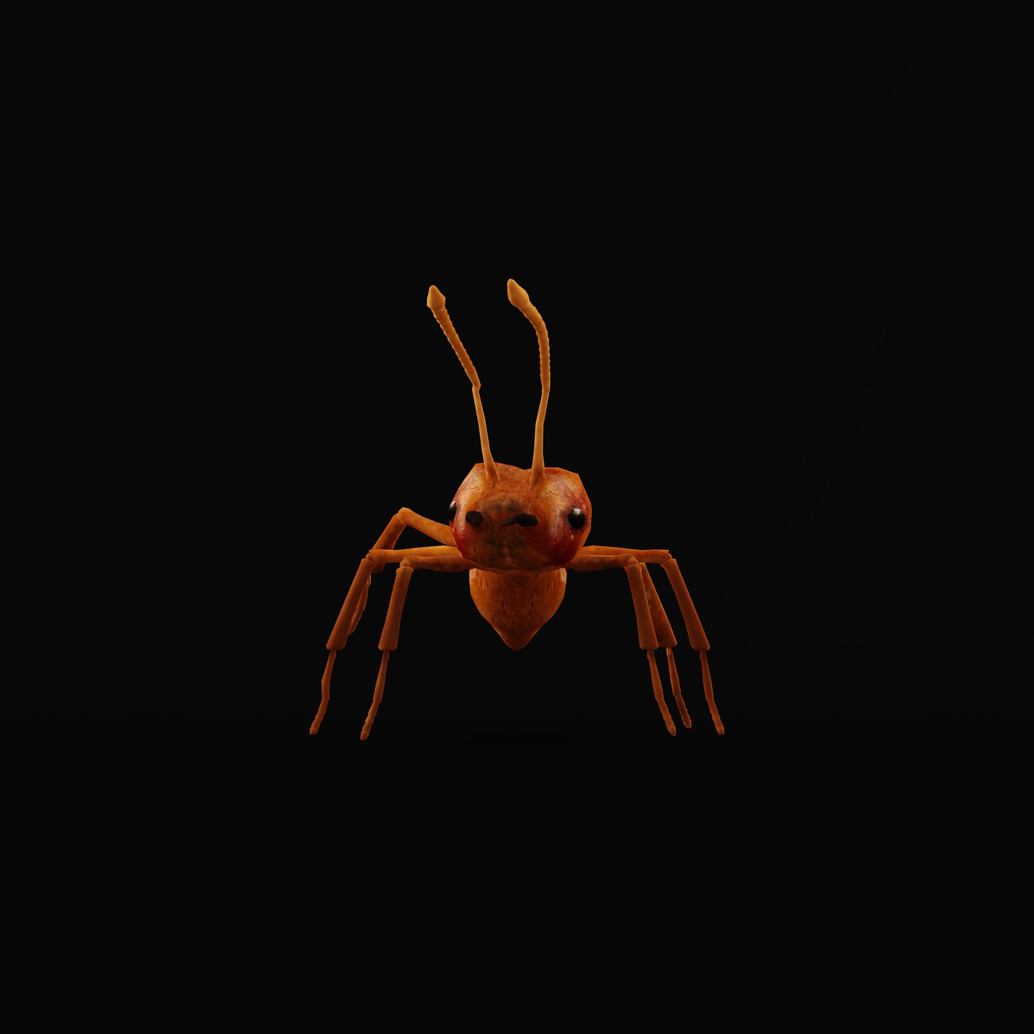 Leafcutter Ant Insect Low-poly 3D model_38