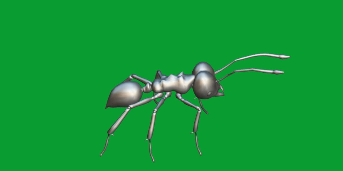 Leafcutter Ant Insect Low-poly 3D model_15