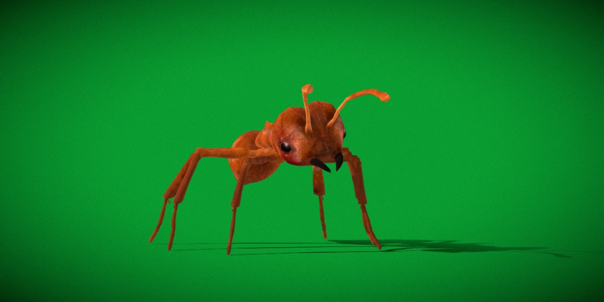 Leafcutter Ant Insect Low-poly 3D model_31