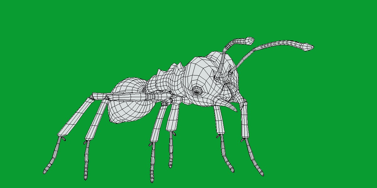 Leafcutter Ant Insect Low-poly 3D model_17