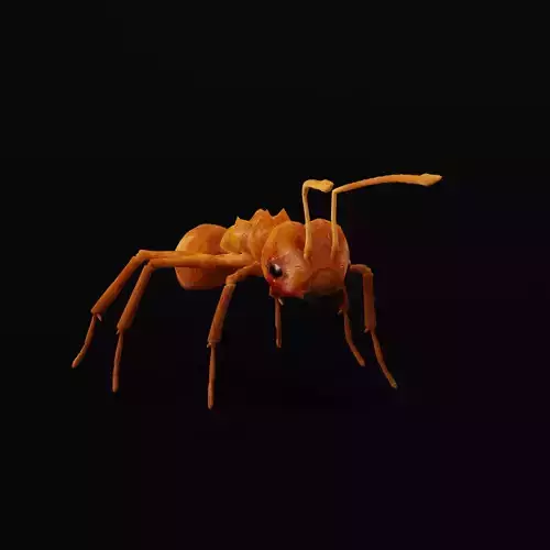 Leafcutter Ant Insect Low-poly 3D model