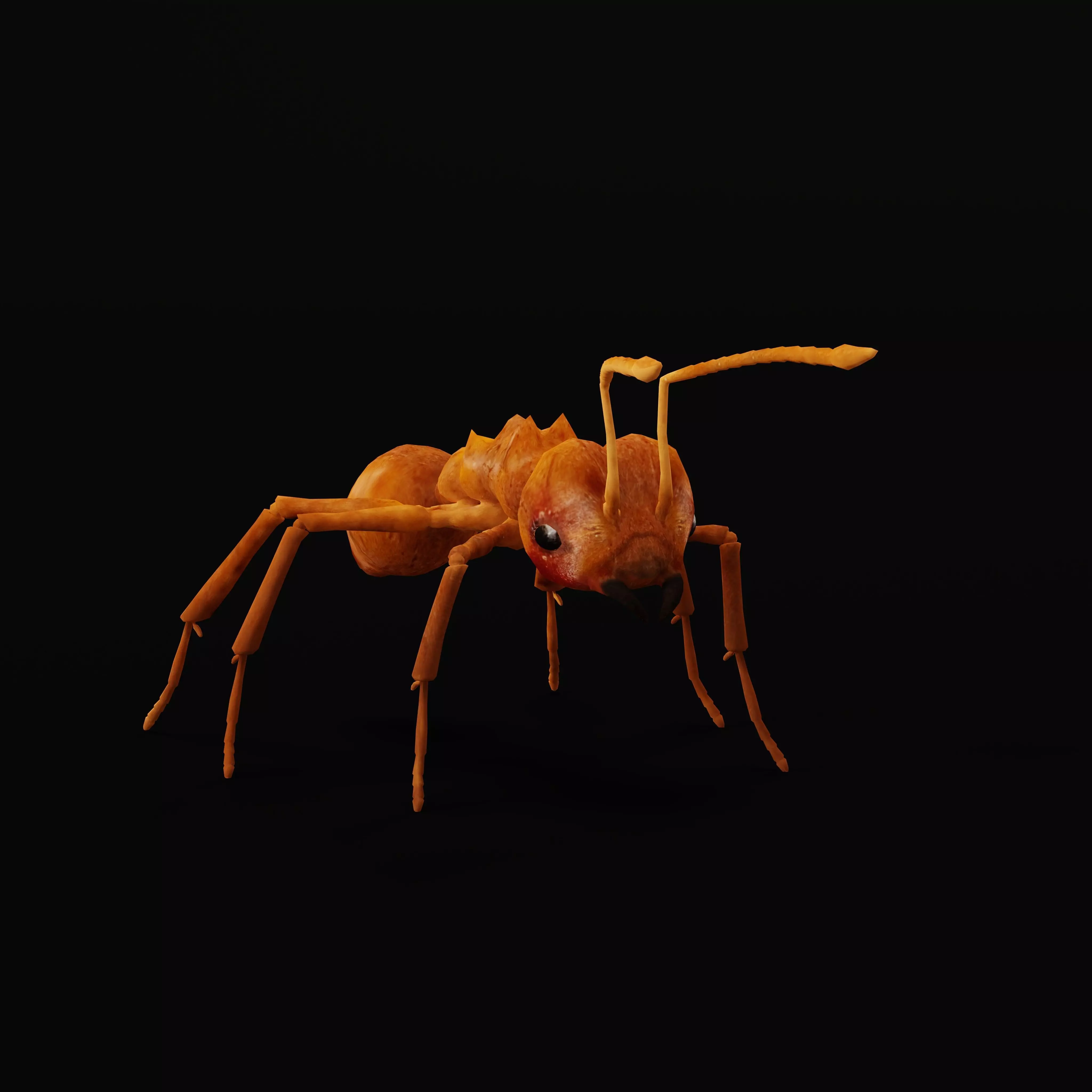 Leafcutter Ant Insect Low-poly 3D model_0