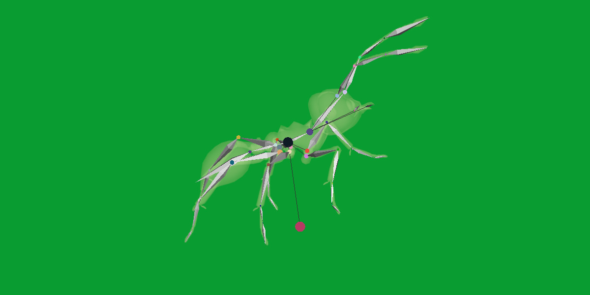 Leafcutter Ant Insect Low-poly 3D model_18