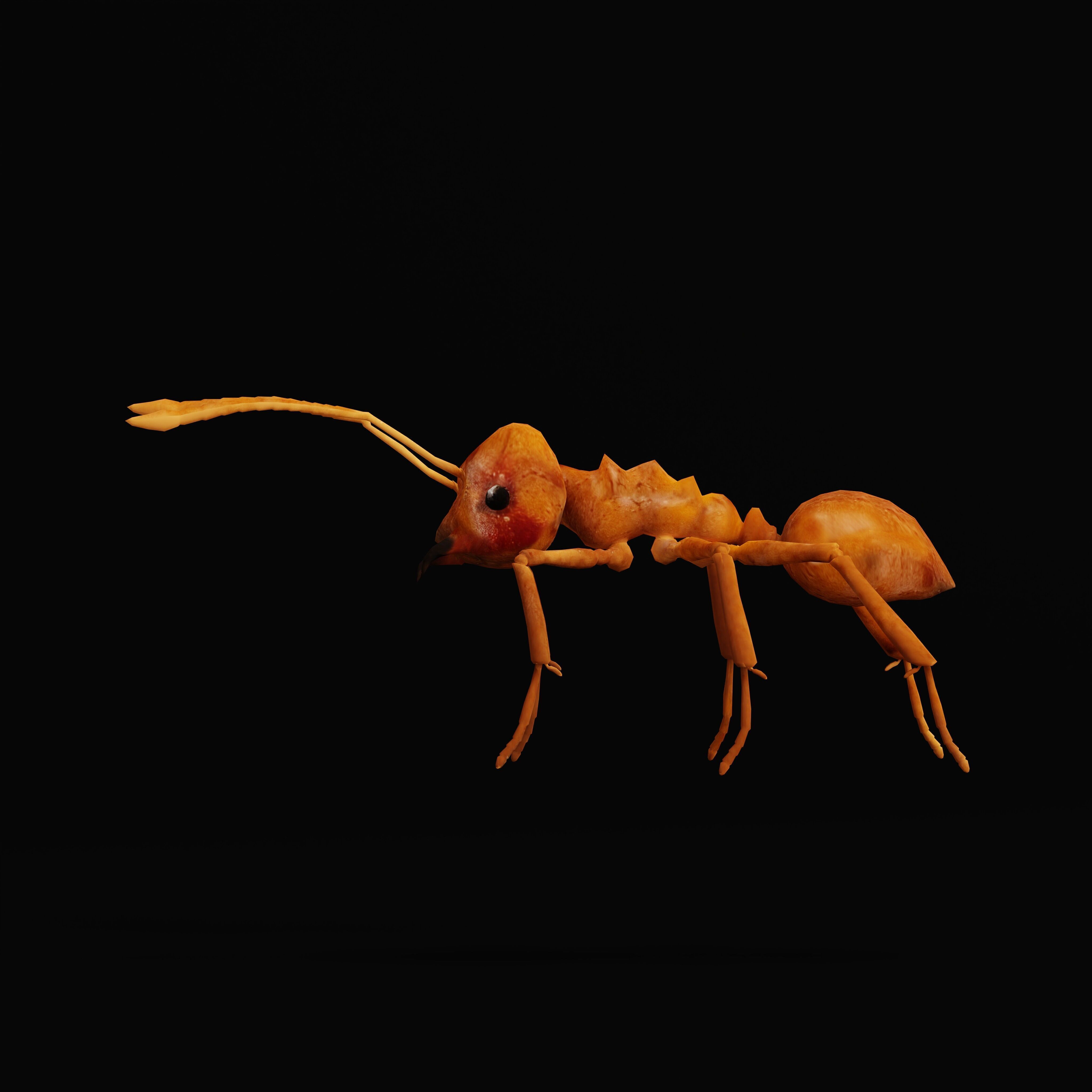 Leafcutter Ant Insect Low-poly 3D model_40