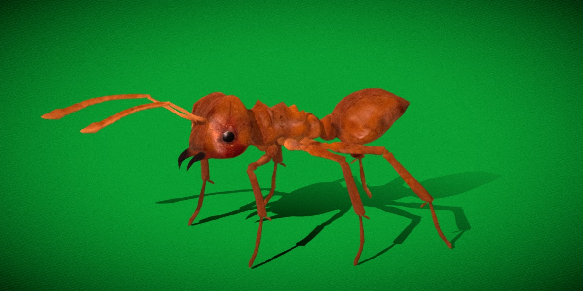 Leafcutter Ant Insect Low-poly 3D model_32