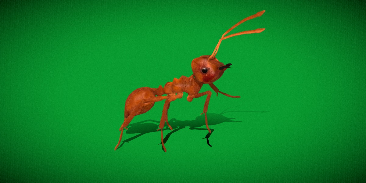 Leafcutter Ant Insect Low-poly 3D model_4