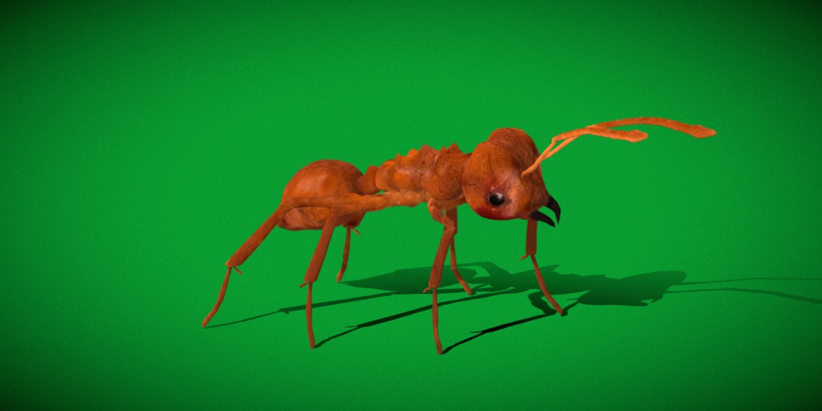 Leafcutter Ant Insect Low-poly 3D model_24
