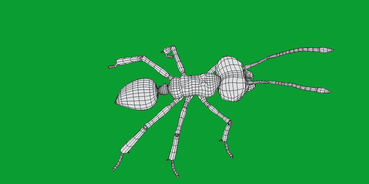 Leafcutter Ant Insect Low-poly 3D model_19