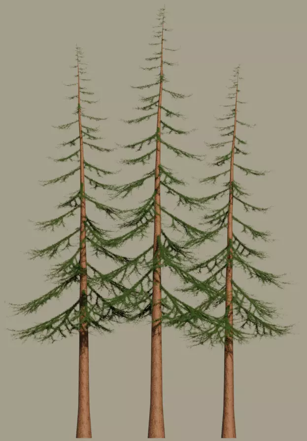 High-polly Mountain Tree 3D model