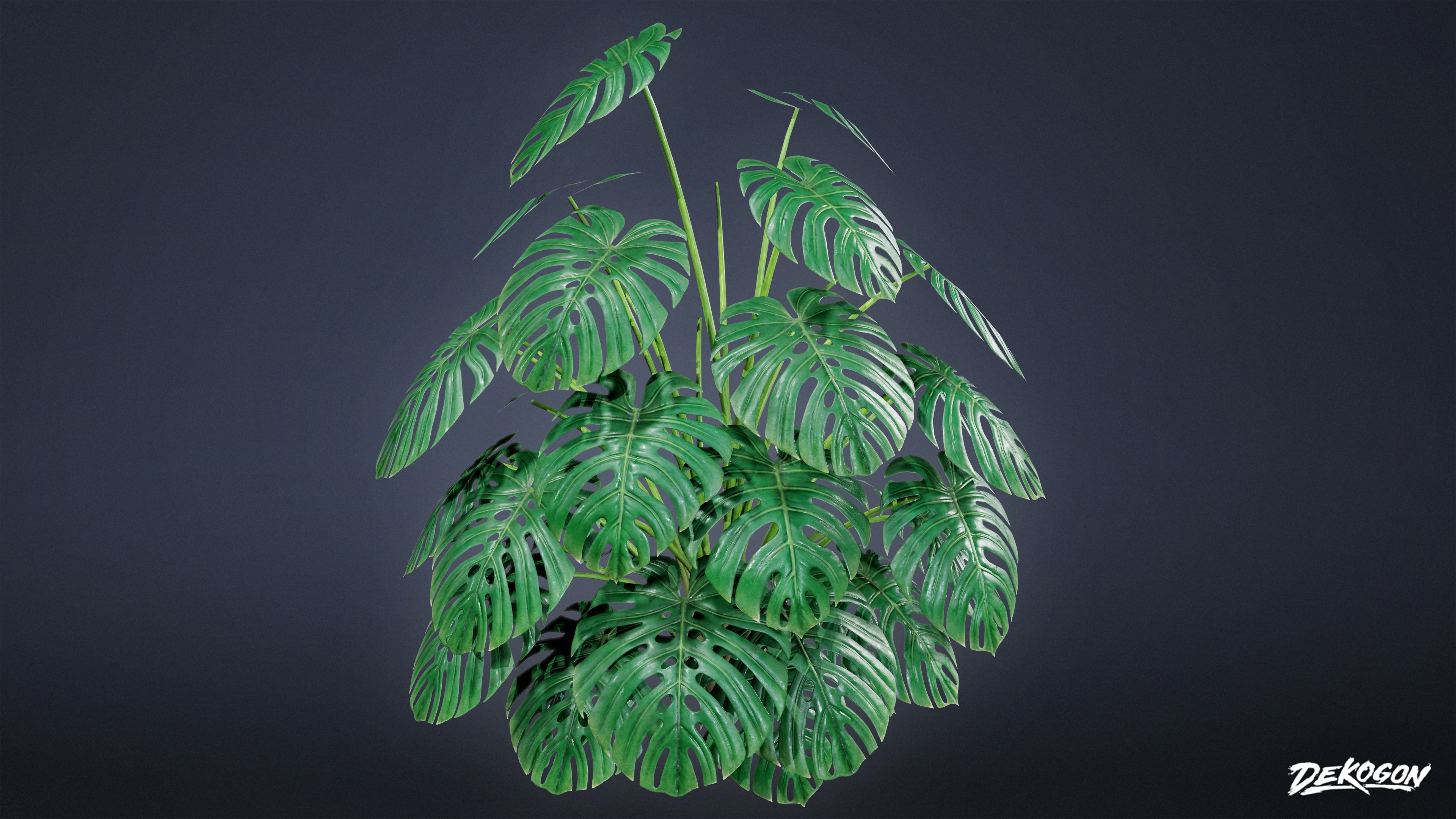 ANEMOIA MANOR - Foliage 01 - LOW POLY Low-poly 3D model_5