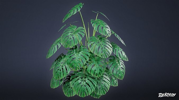 ANEMOIA MANOR - Foliage 01 - LOW POLY Low-poly 3D model 6