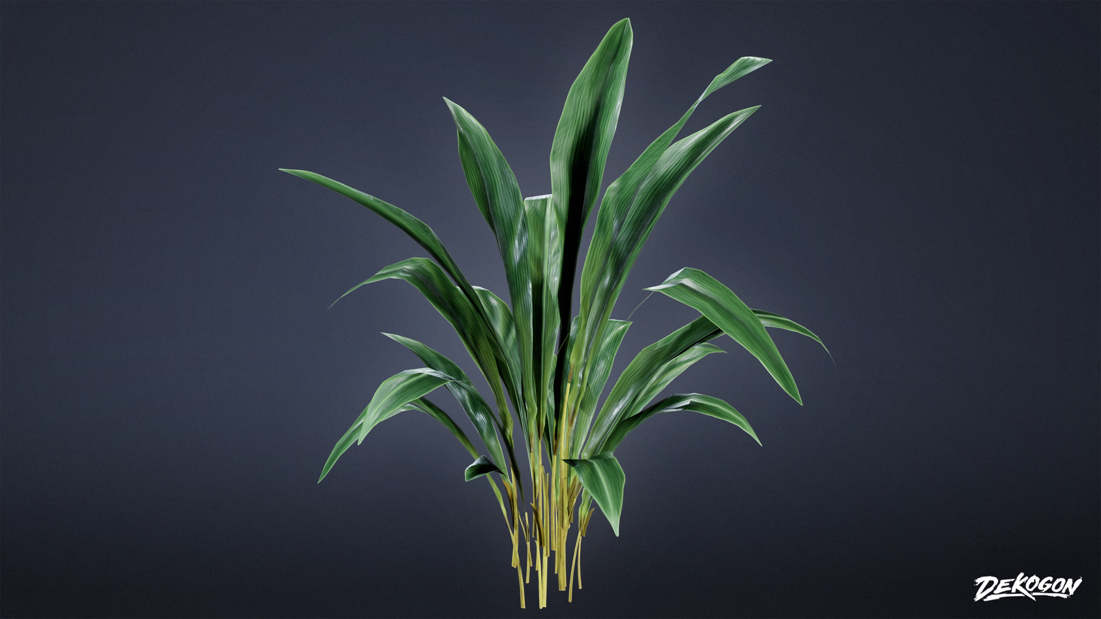 ANEMOIA MANOR - Foliage 01 - LOW POLY Low-poly 3D model_3