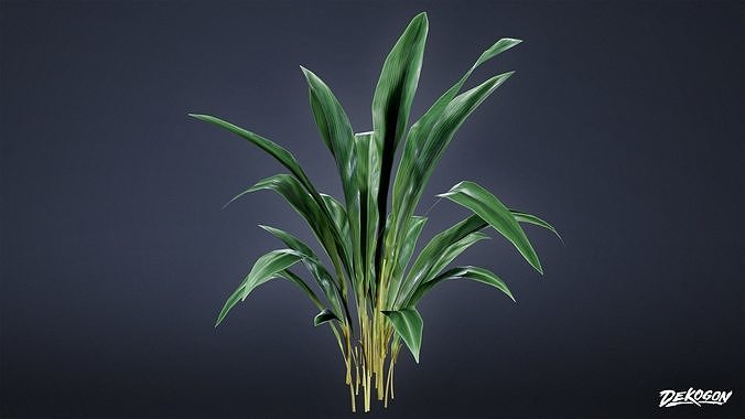 ANEMOIA MANOR - Foliage 01 - LOW POLY Low-poly 3D model 4