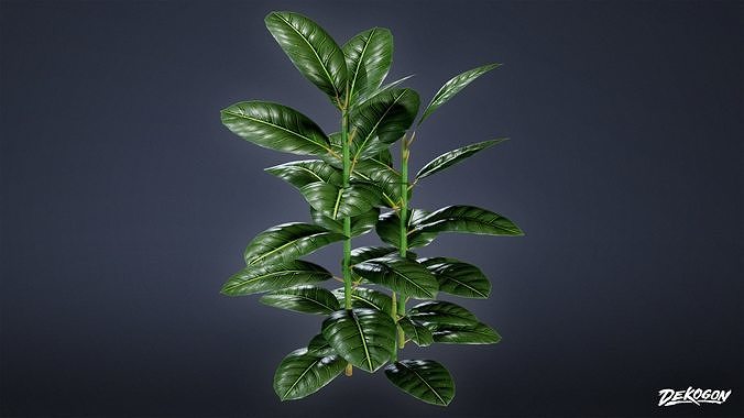 ANEMOIA MANOR - Foliage 01 - LOW POLY Low-poly 3D model 5