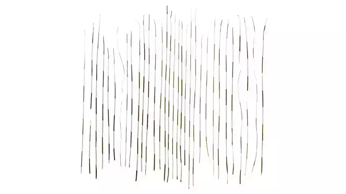 Anydrafts Carex Leaf 01