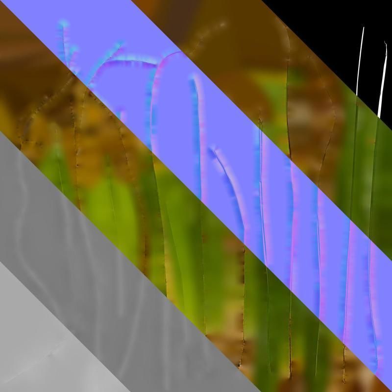 Anydrafts Carex breviculmis Leaf 03 Texture_8